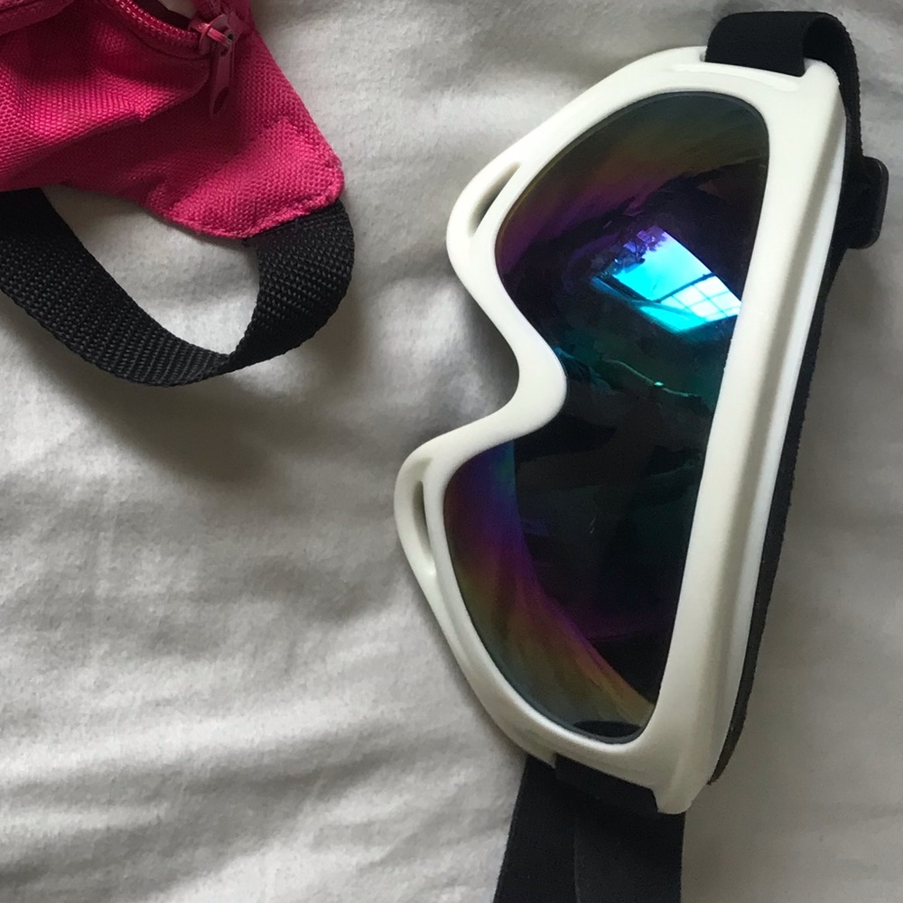 Ski goggles